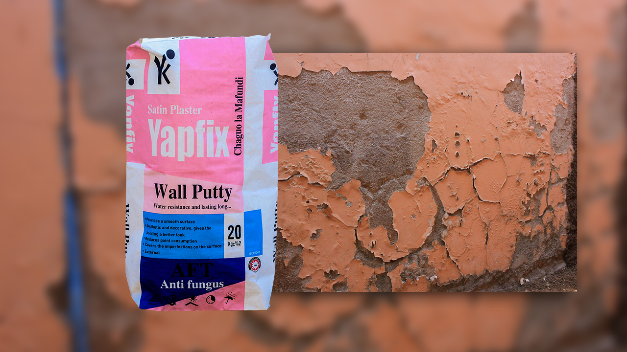 ANTI- FUNGUS WALLPUTTY